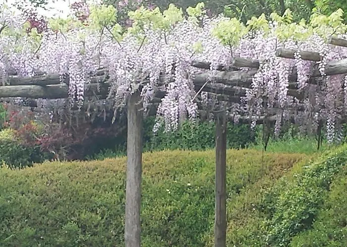 Cascina Belvedere